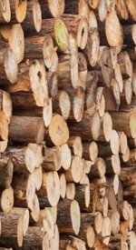 billot de bois